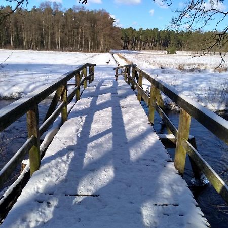 Villa Duck-Dich-Suedheide Hermannsburg Buitenkant foto