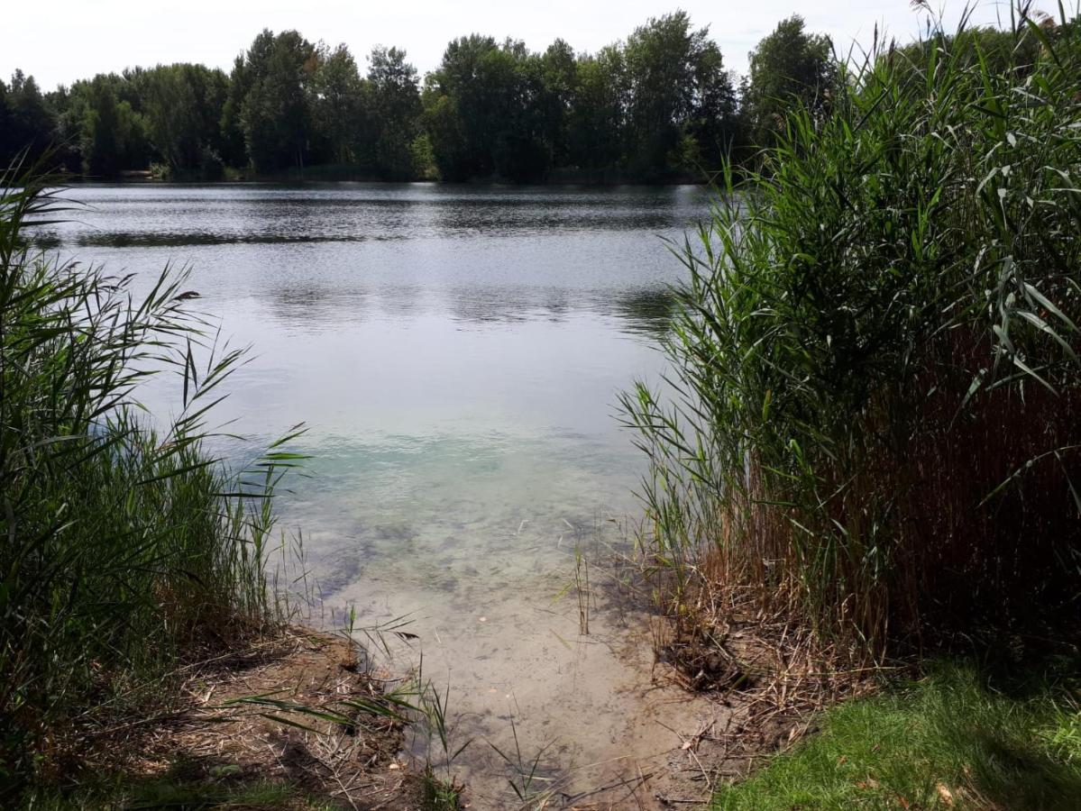 Villa Duck-Dich-Suedheide Hermannsburg Buitenkant foto