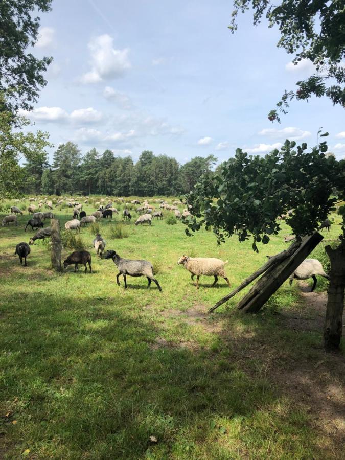 Villa Duck-Dich-Suedheide Hermannsburg Buitenkant foto